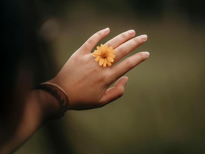 Flower Accessories