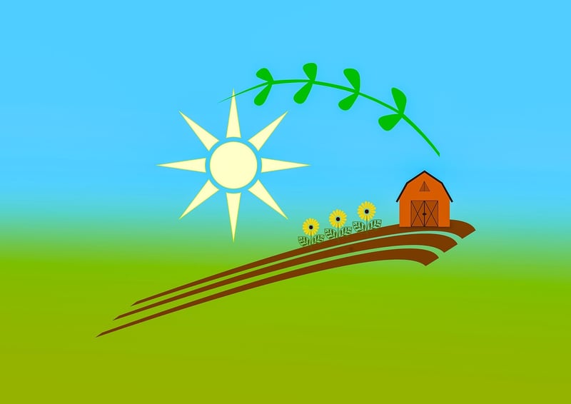 Greenery Illustrations