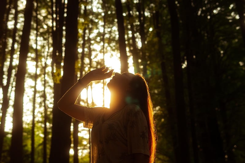 Nature-inspired Lifestyle