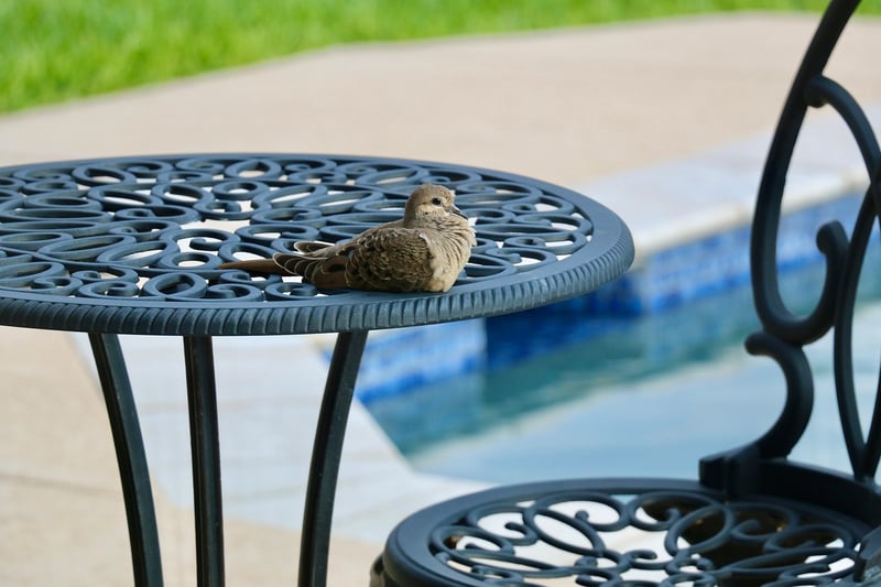 Relaxation area in a garden