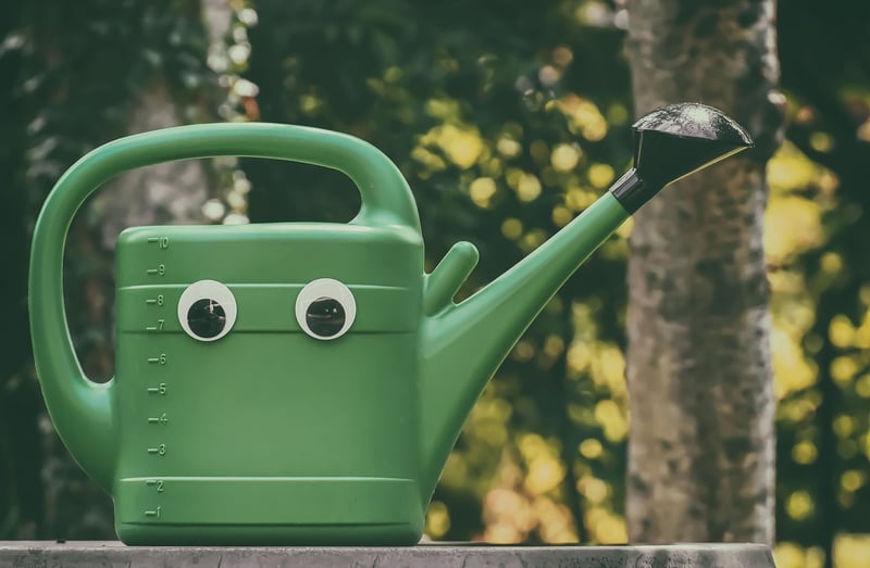 Watering can in a garden